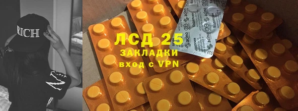 молекула духа Чекалин