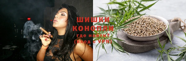 mdpv Новозыбков