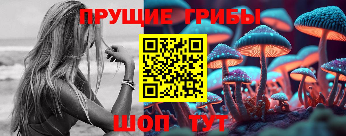 Псилоцибиновые грибы GOLDEN TEACHER  Галлюциногенные грибы MAGIC MUSHROOMS  где купить наркотик  Дальнереченск 